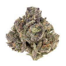 Jokerz Strain,jokerz strain,baby jokerz strain ,jokerz 31 strain ,jokerz weed strain,jokerz candy strain review